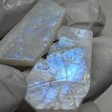 Silver Gray Rainbow Moonstone Tungsten Carbide Ring